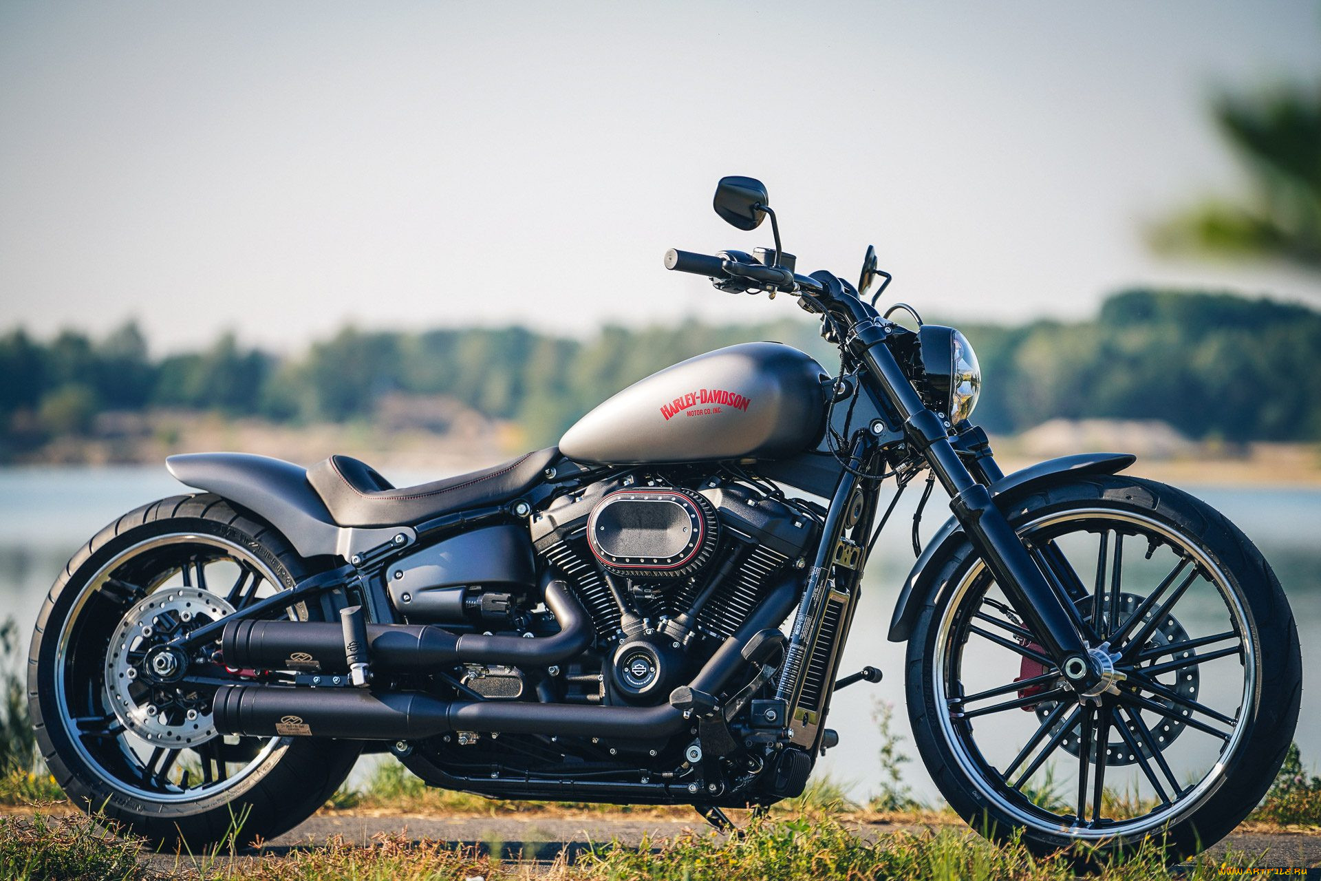 , , harley-davidson, , , , thunderbike, customs